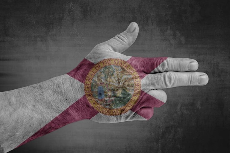 NRA Challenges Florida’s 3-Day Gun Waiting Period