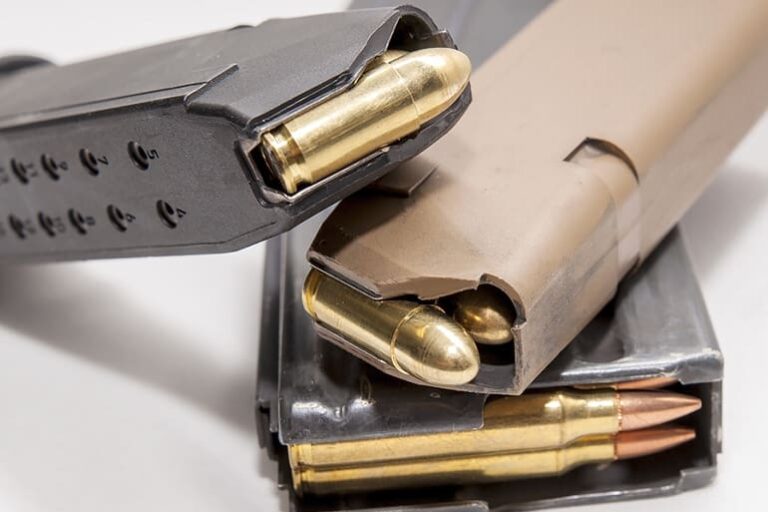 27 States Push SCOTUS to Strike Down Washington Mag Ban