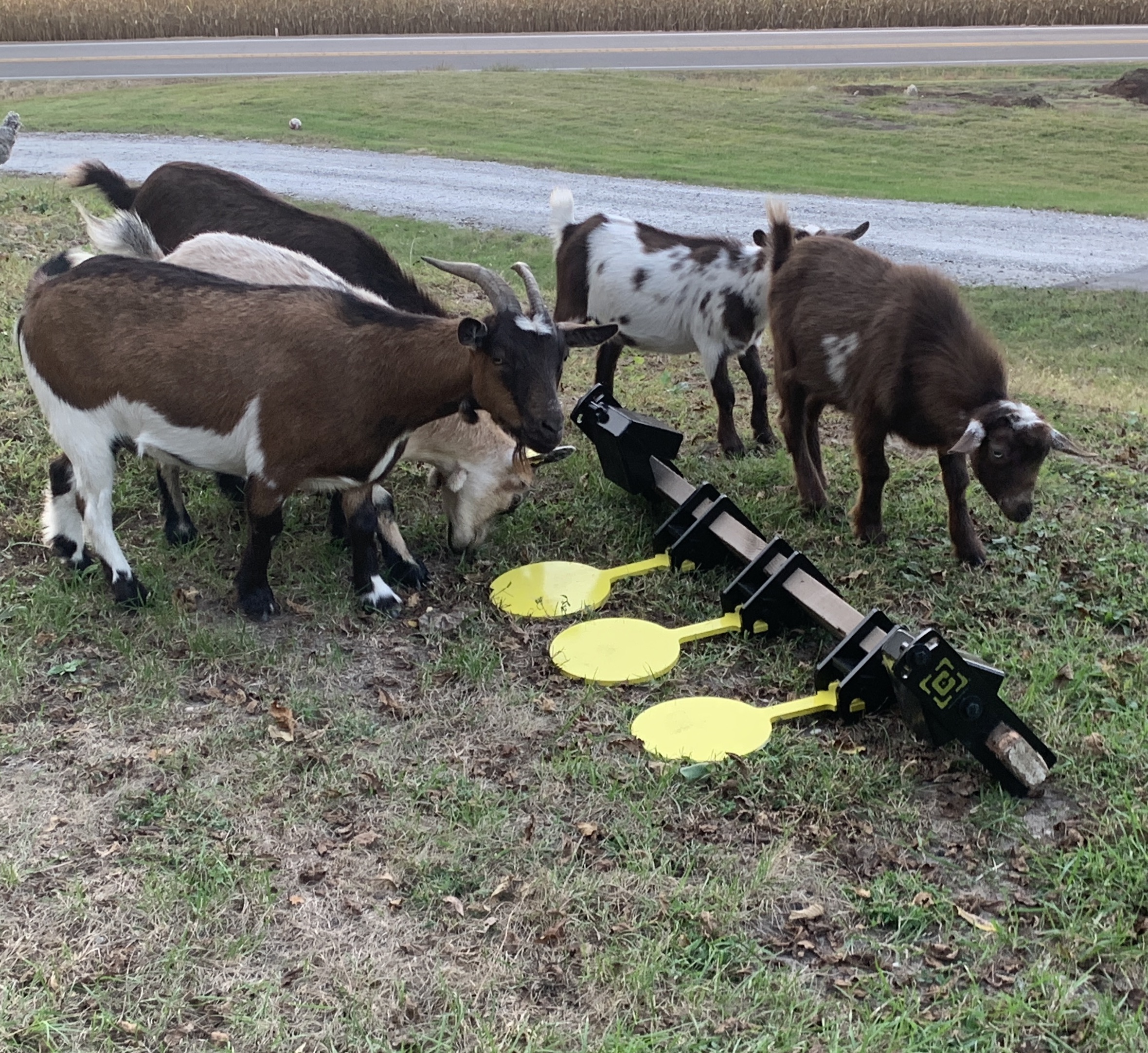 Caldwell-AR500-targets-7