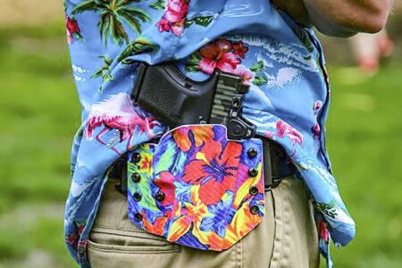 Supreme Court Takes Up Hawaii Gun-Carry Ban Case