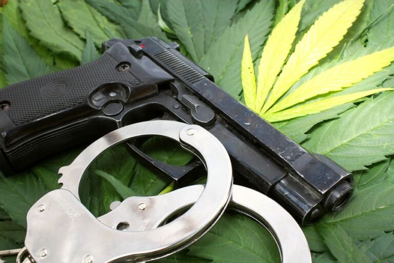 Marijuana Use Isn’t Grounds to Lose Gun Rights