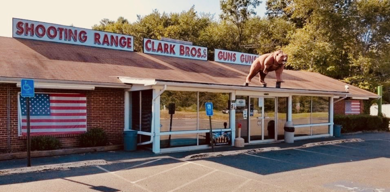 Virginia Democrats Target Gun Sellers With New Bill