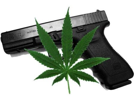 Supreme Court Weighs Marijuana Gun Ban in Hemani