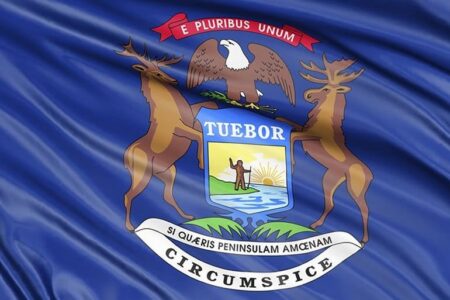 Michigan Democrats Push Sweeping Gun Crackdown