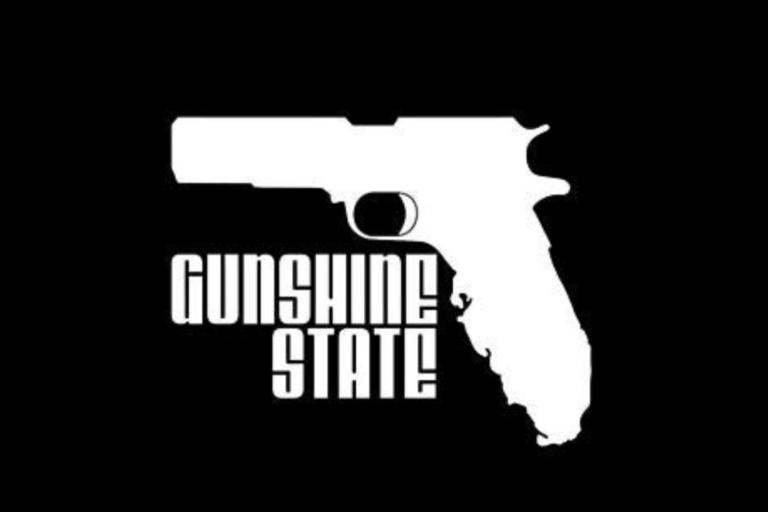 Florida HB 133 Faces Senate Block on Gun Age Repeal